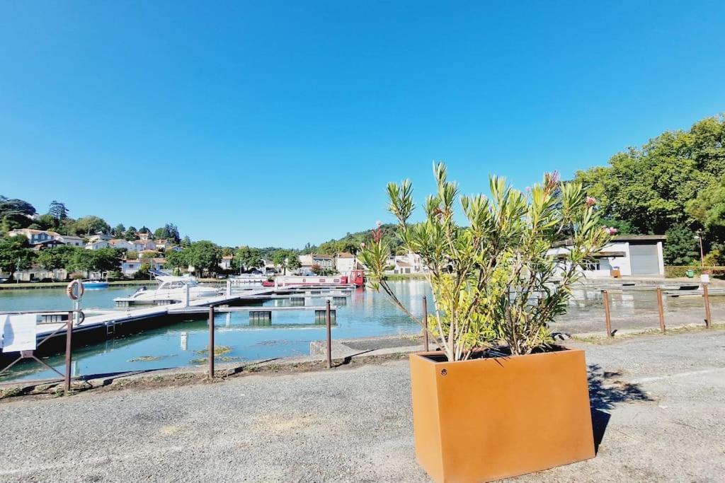 Maison, 4 A 6 Pers, Clim, Parking Prive, 2 Chambres Agen Buitenkant foto